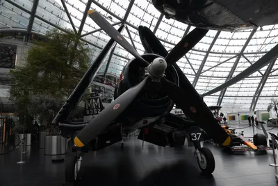 DSC_7095 (Large).JPG